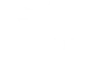 Childrens-Place-Logo-White-350.png