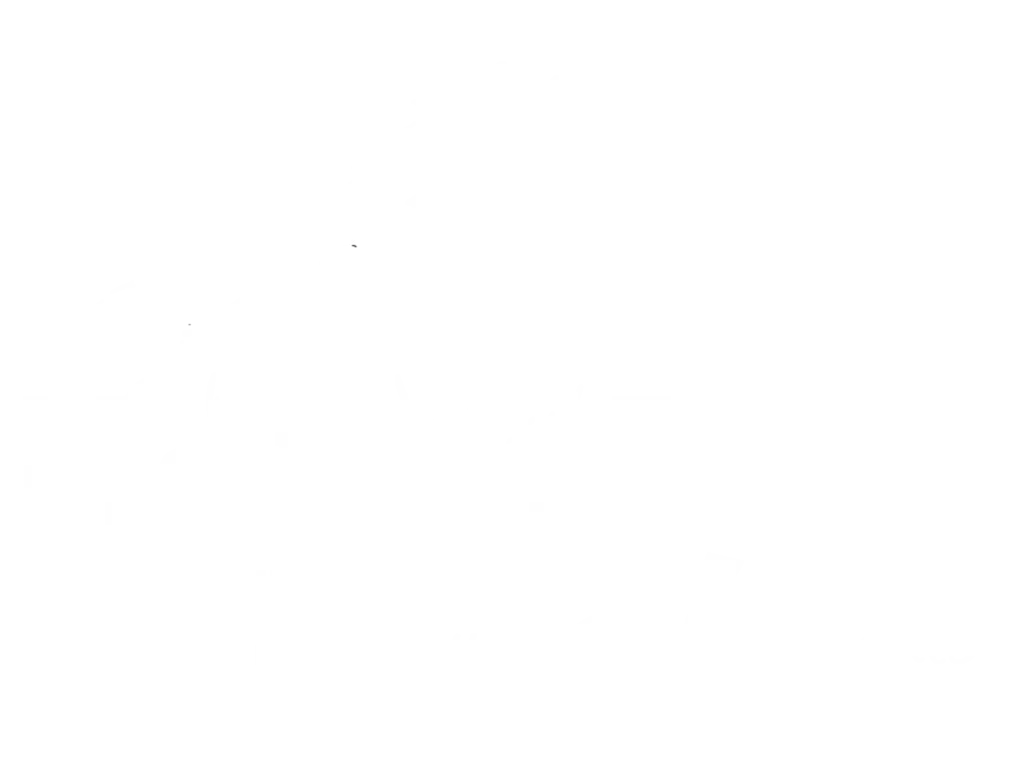 Logo_White.png