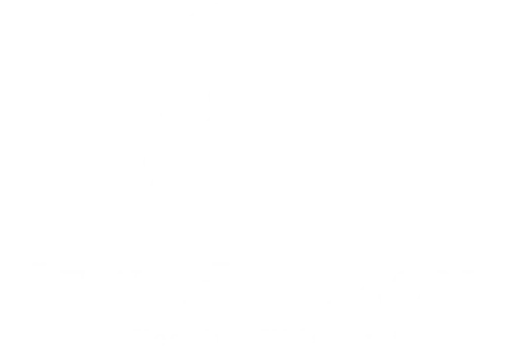 NewHorizons_Logo_White_1500.png