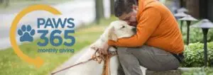 Paws-365-header-image.jpg