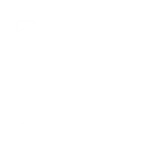 cropped-white-Noyes-Home-Logo-Vertical-Est.png