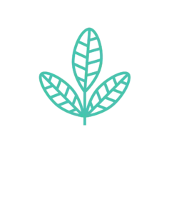logo-maehouse-stacked-ondark.png